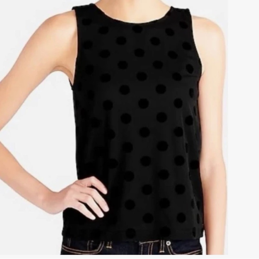 J Crew Mercantile Polka Dot Velvet Tank
